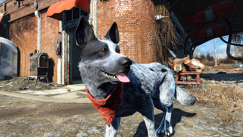 Fallout 4 の犬コンパニオン ドッグミート を自分の愛犬に変える 海外ファンが自作テクスチャmodを制作し公開 Automaton