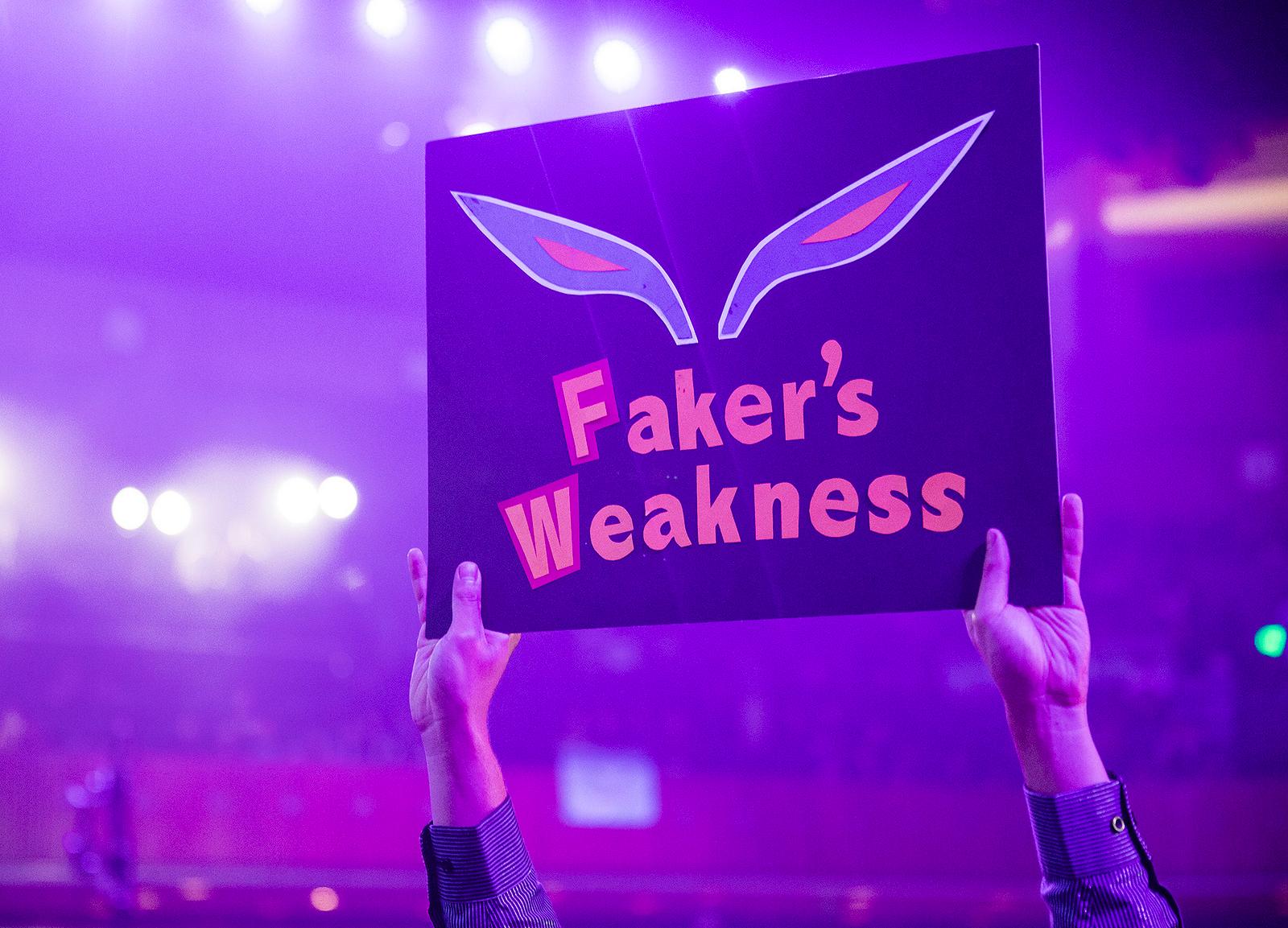 「Fakerの泣きどころ」と書かれたプラカードを掲げるファン。昨年はグループステージ無敗だったSKTの敗北に誰もが驚いた。画像出典：Riot eSports Flickr